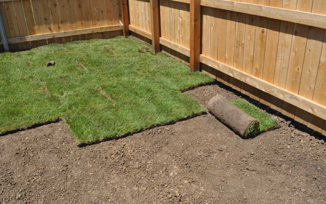 Blog post Installing Sod the Right Way: When, How, and Where It Works Best in Central Indiana image